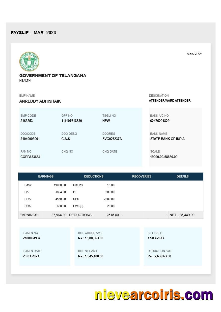 Premium Government Of Telangana Payslip Template In Word And PDF Formats.pdf, 1