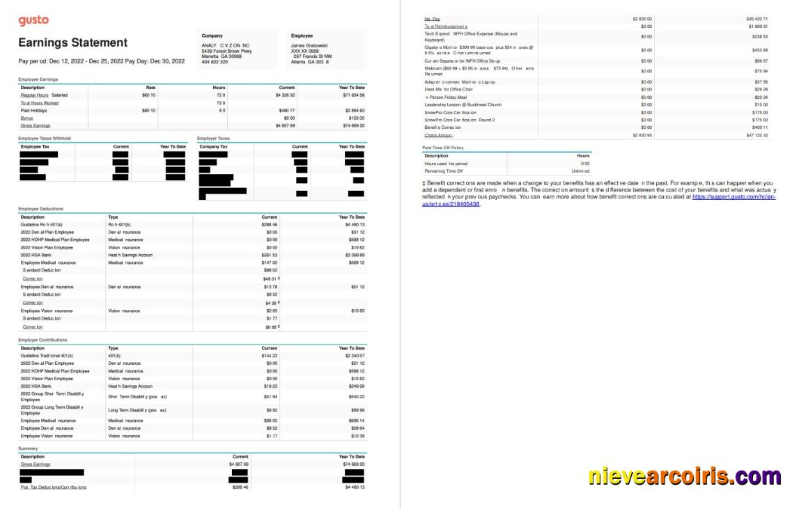 Gusto Earnings Statement Word Sample