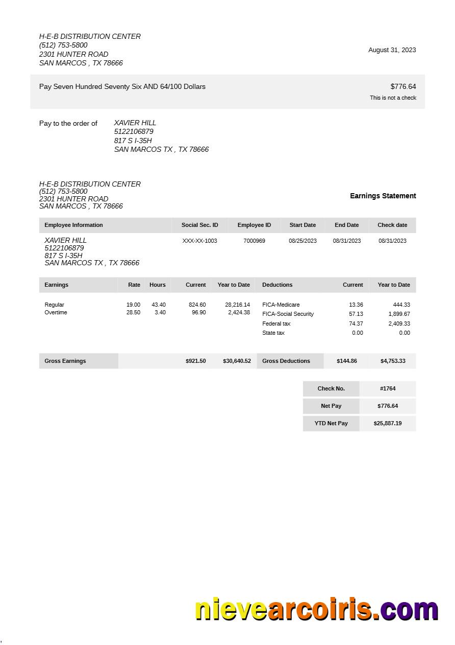 Editable H E B Distribution Center Earning Statement Template In Word And PDF Formats.pdf, 1