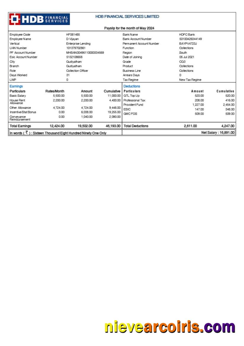 Professional HDB Financial Services Payslip Template In Word And PDF Formats.pdf, 1