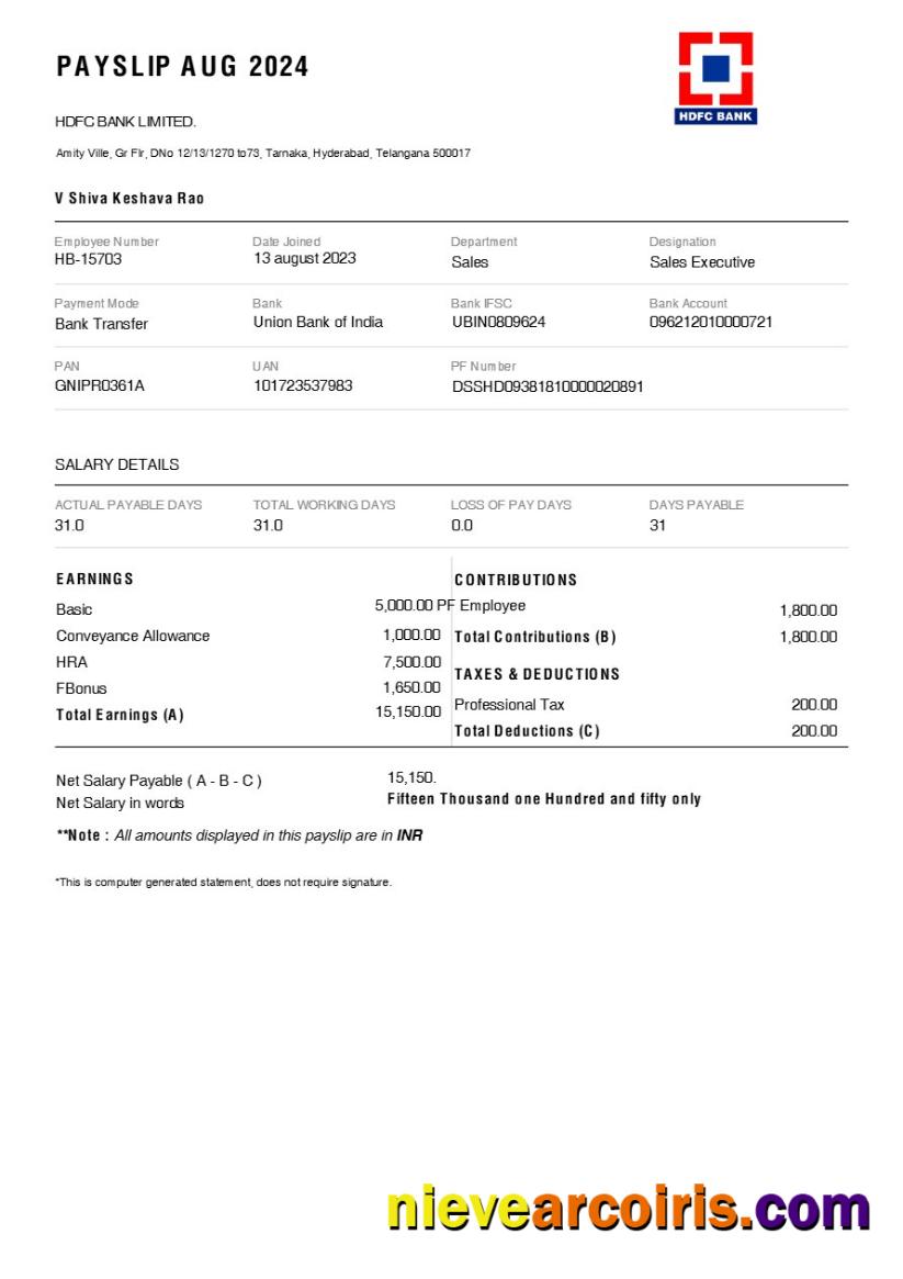 Premium HDFC Bank Payslip Template In Word And PDF Formats.pdf, 1