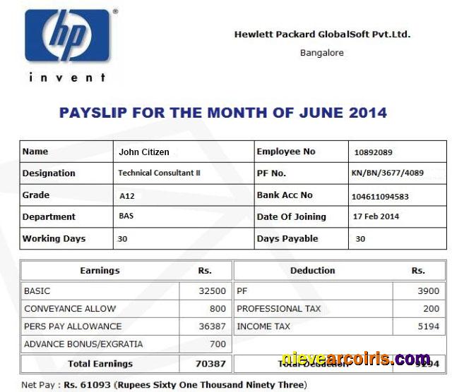 HP HEWLETT Packard GlobalSoft Pvt.Ltd Payslip In Word And PDF Formats Photolook