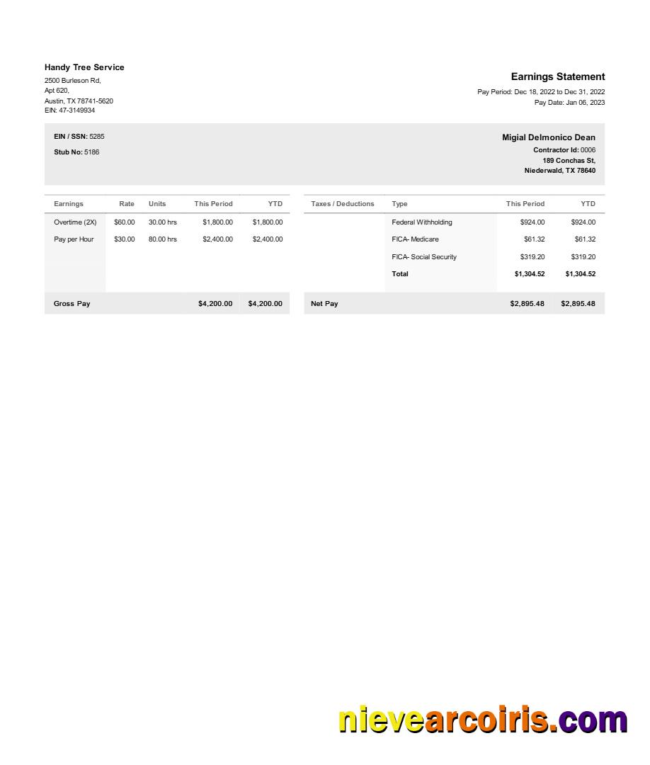 Premium Handy Tree Service Earnings Statement Template In Word And PDF Formats.pdf, 1