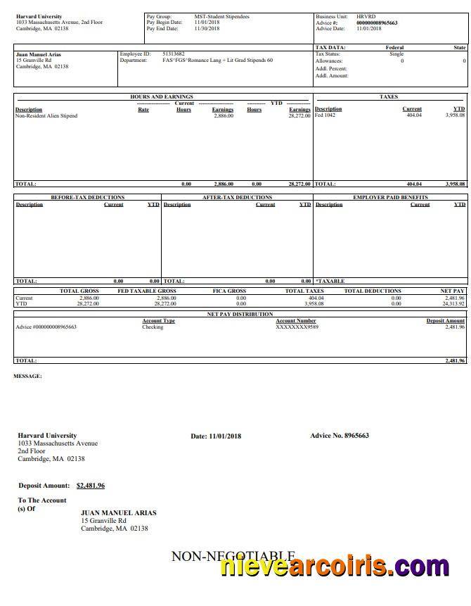 Harvard University Pay Stub In PDF And Word Format Preview