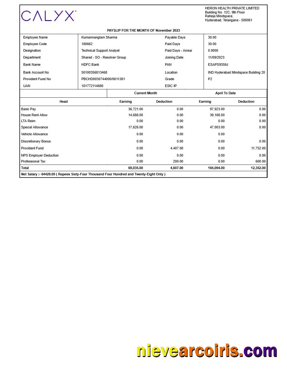 Realistic Heron Health Payslip Template In Word And PDF Formats.pdf, 1
