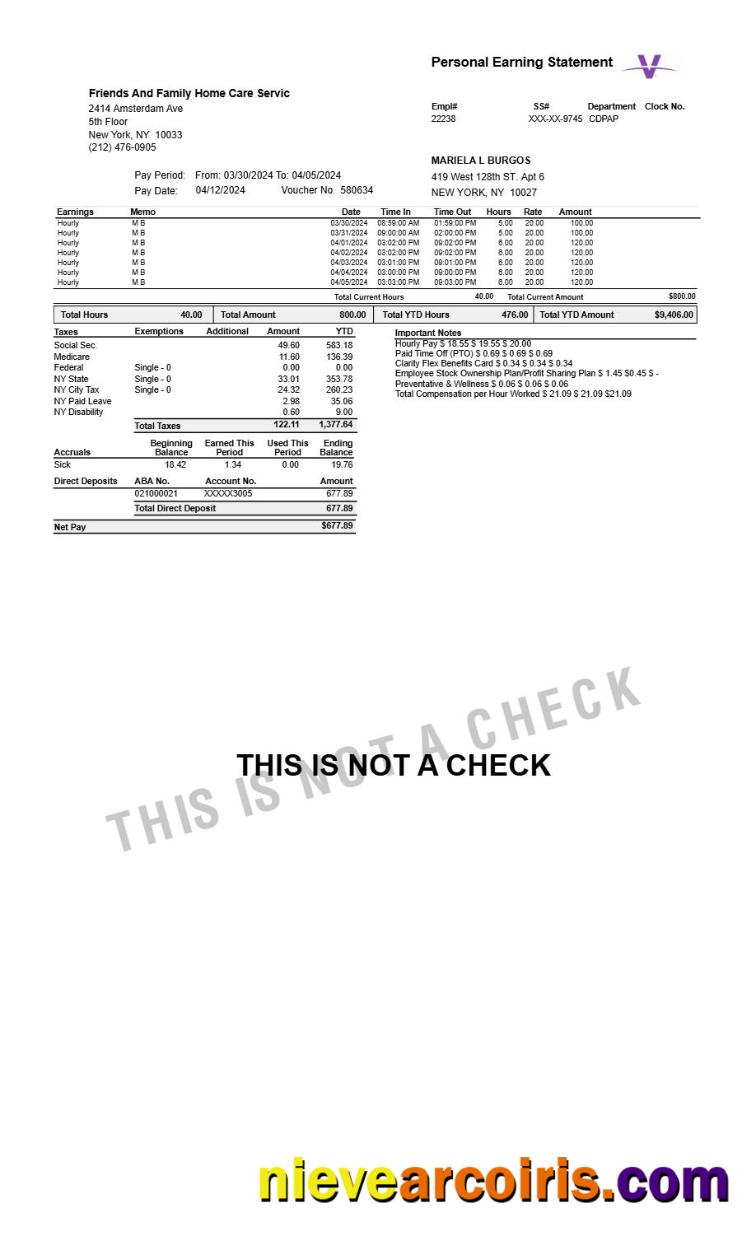 Realistic Home Care Servic Personal Earning Statement Template In Word And PDF Formats.pdf, 1