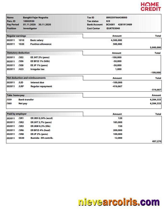 Home Credit Paystub Template