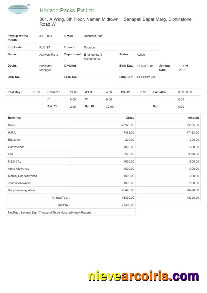 Editable Horizon Packs Payslip Template In Word And PDF Formats.pdf, 1