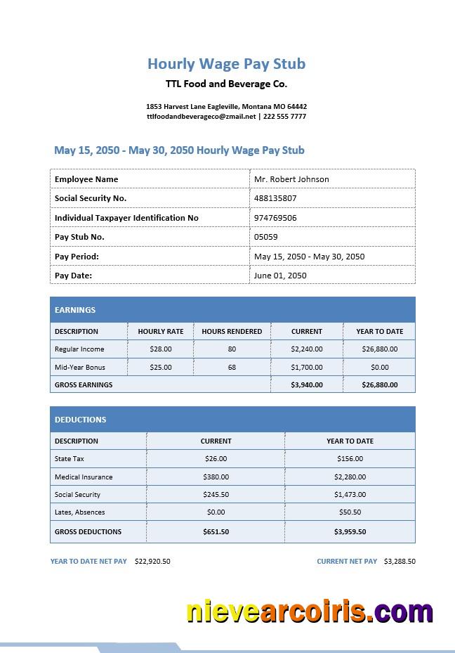 Editable Hourly Wage Pay Stub Template