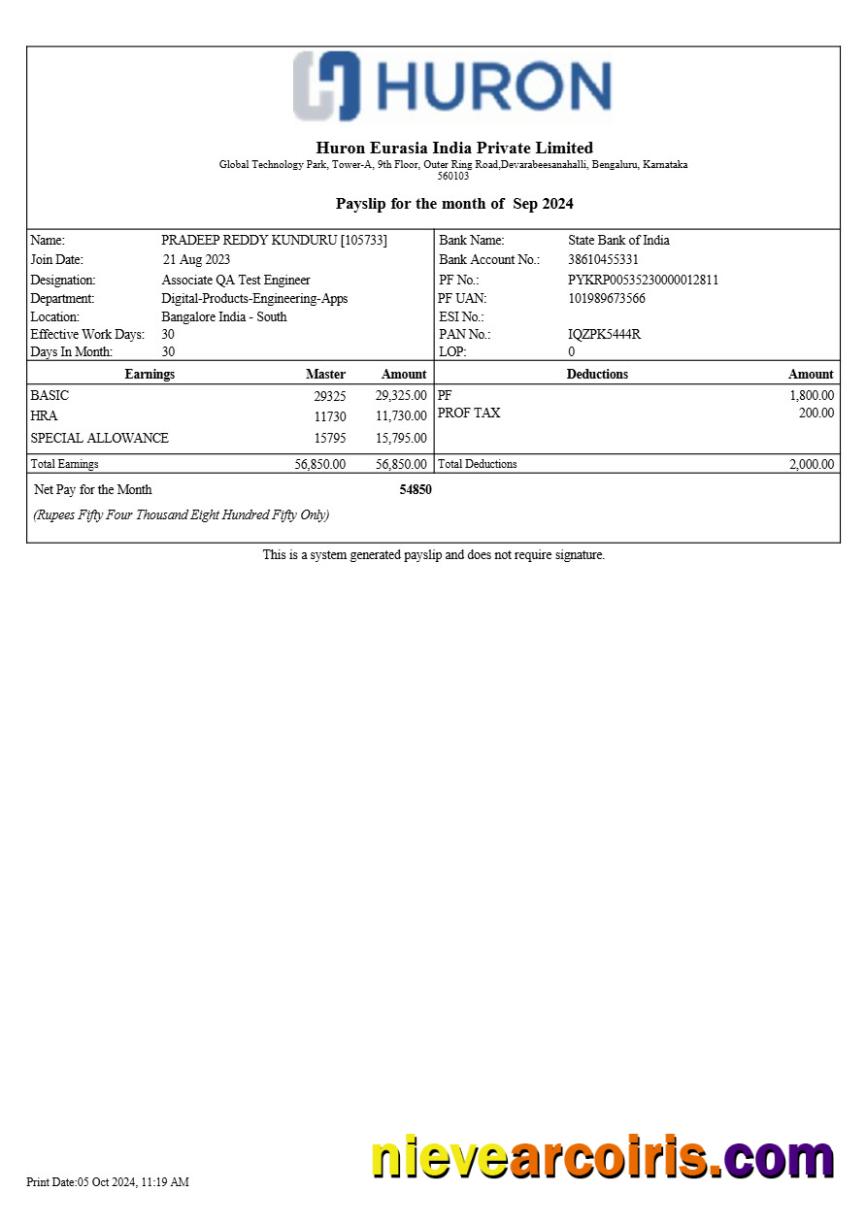 Professional Huron Eurasia India Payslip Template In Word And PDF Formats.pdf, 1