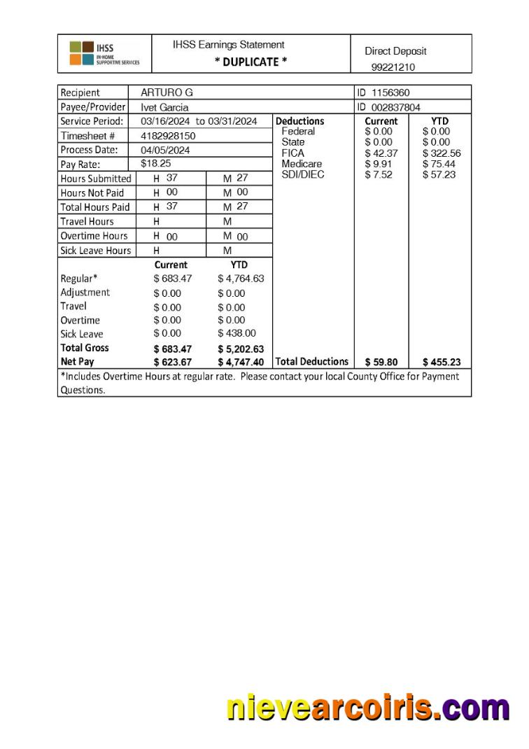 Professional IHSS In Home Supportive Services Earnings Statement Template In Word And PDF Formats.pdf, 1