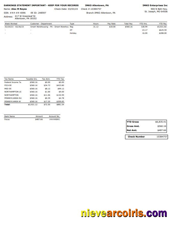 IMKO Enterprises Inc PayStub Preview