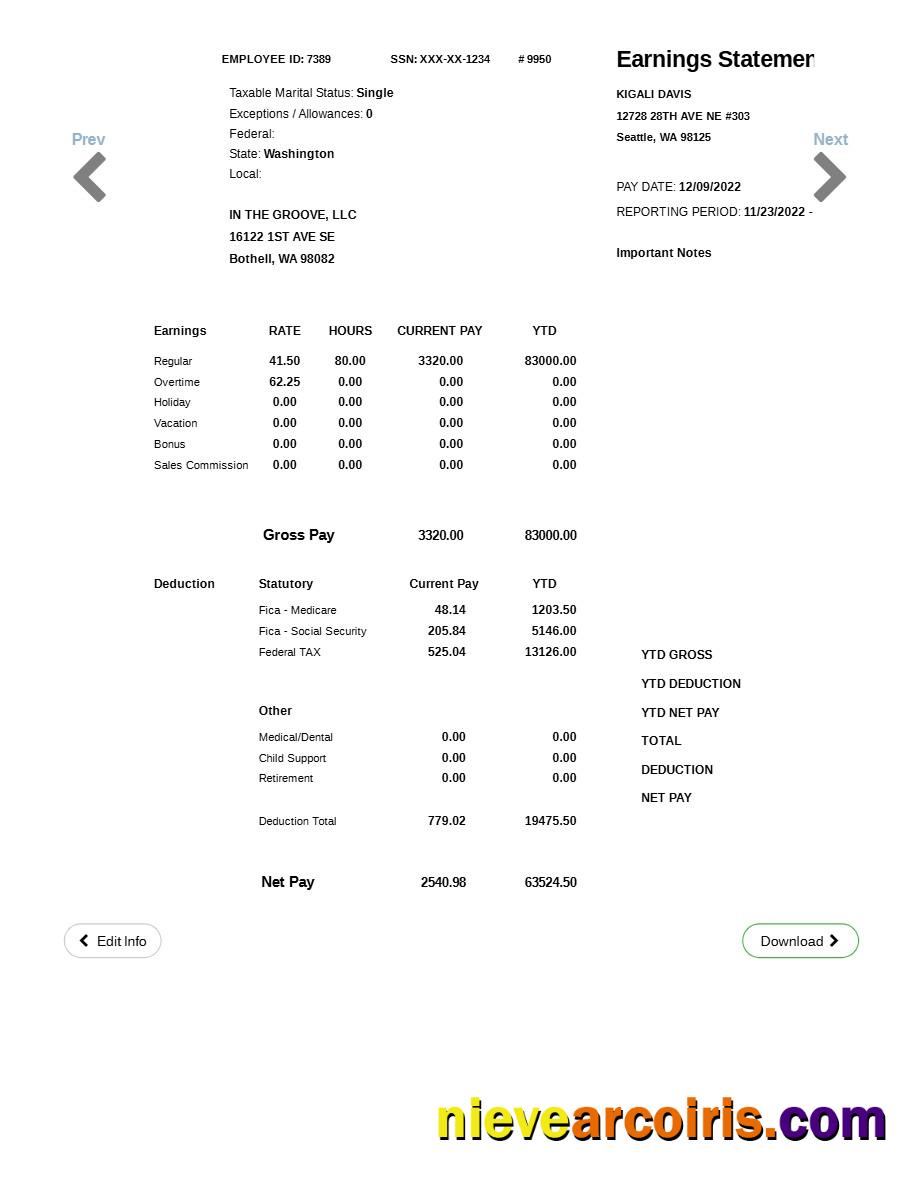 Professional IN THE GROOVE, LLC Earnings Statement Template In Word And PDF Formats.pdf, 1