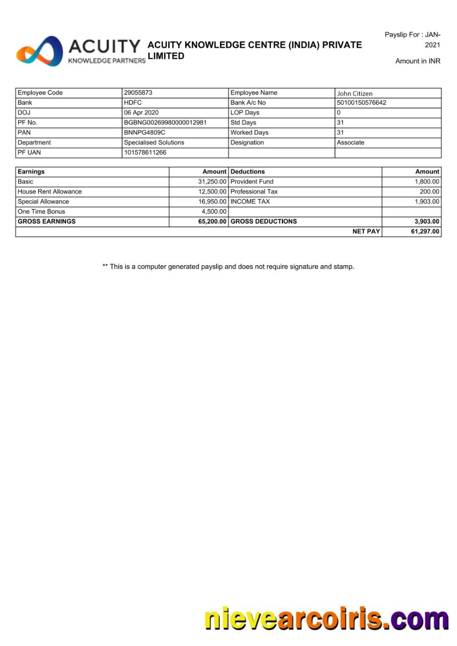 INDIA ACUITY Knowledge Centre Private Limited Payslip In Word And PDF Formats Template