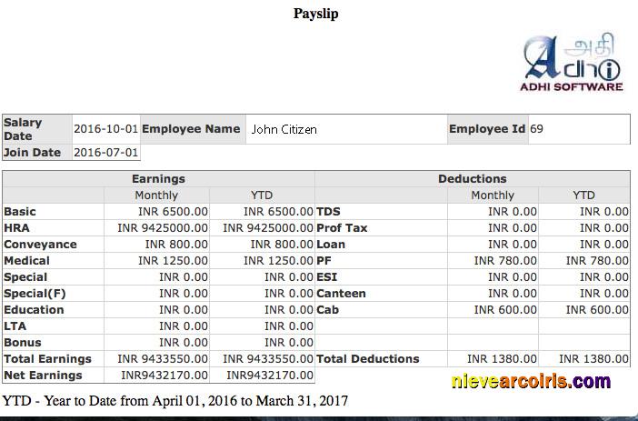 Professional INDIA ADHI Software Company Payslip Template In Word And PDF Formats