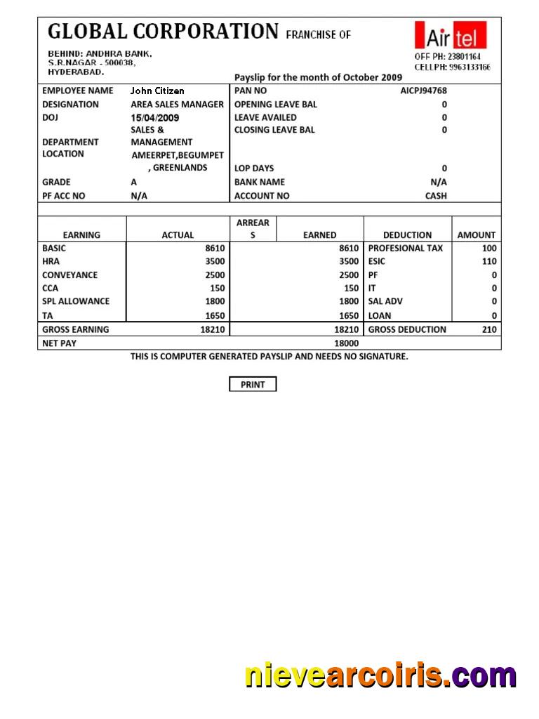 INDIA AIRTEL Multinational Telecommunications Services Company Payslip In Word And PDF Formats Template