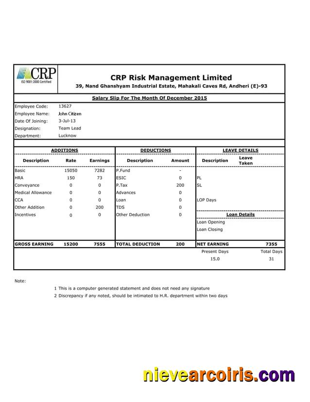 Professional INDIA CRP Risk Management Limited Salary Slip Template In Word And PDF Formats