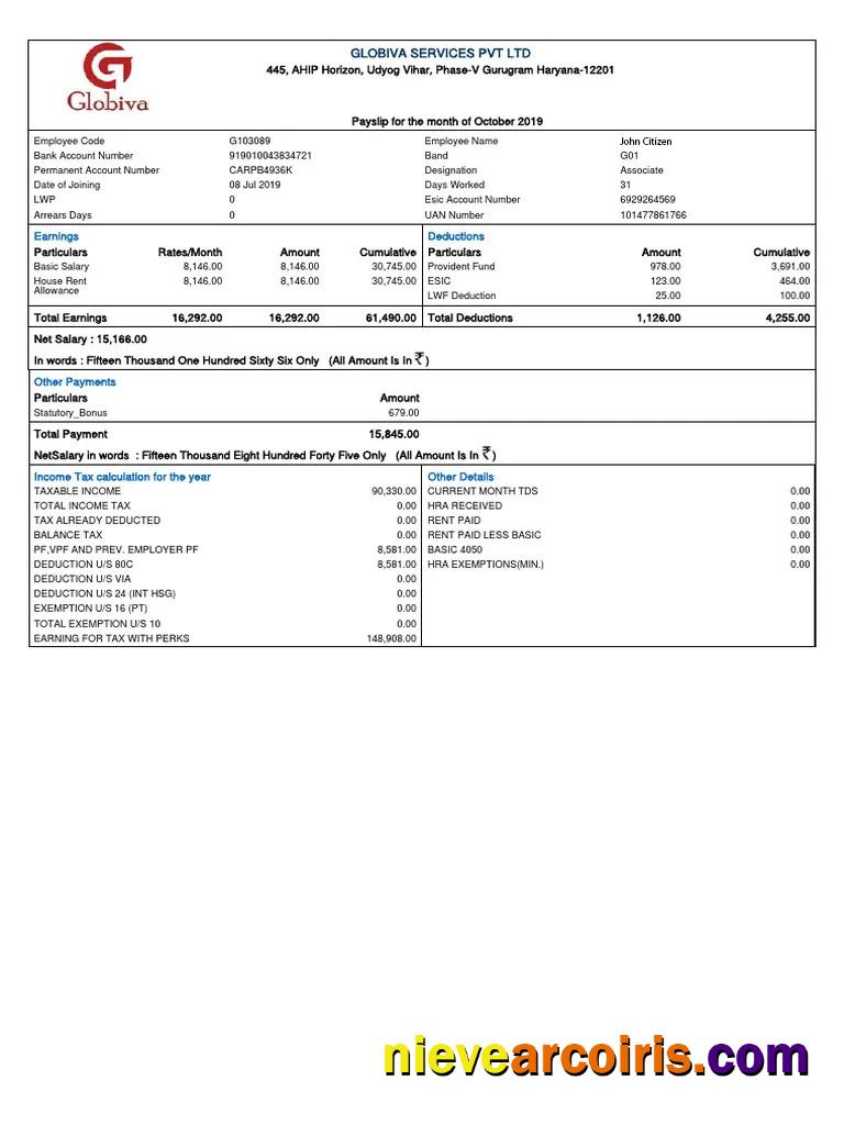 INDIA GLOBIVA Services PVT LTD Payslip In Word And PDF Formats Photolook