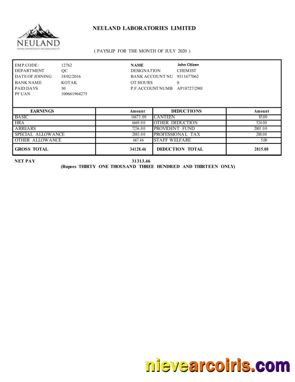 INDIA NEULAND Laboratories Limited In Word And PDF Formats Template