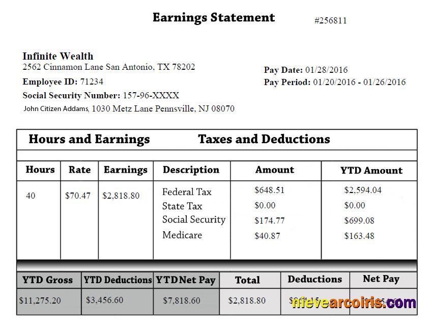 INFINITE Wealth Australia Earning Statement In Word And PDF Formats Template