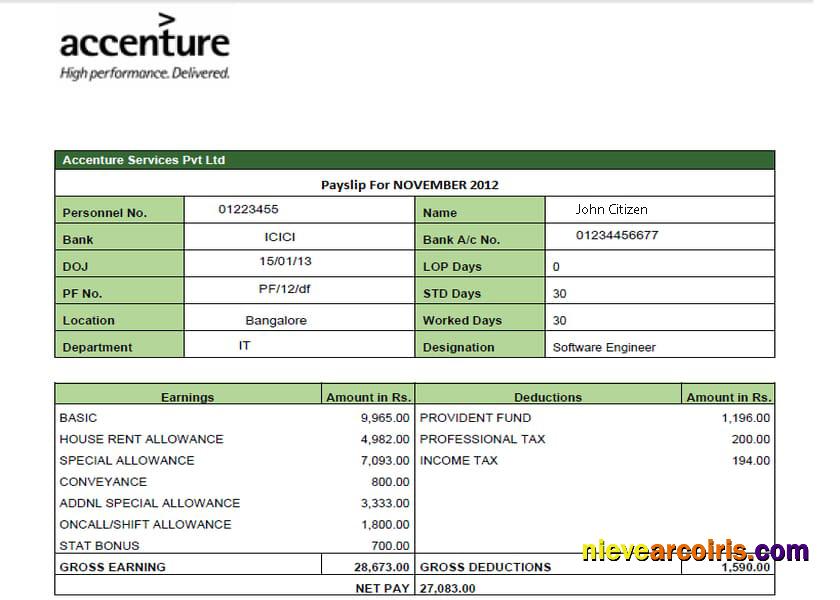IRELAND ACCENTURE IT Company Earning Statement In Word And PDF Formats Photolook
