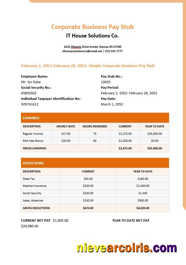 IT House Solutions Co. Pay Stub In PDf And Word Formats Preview