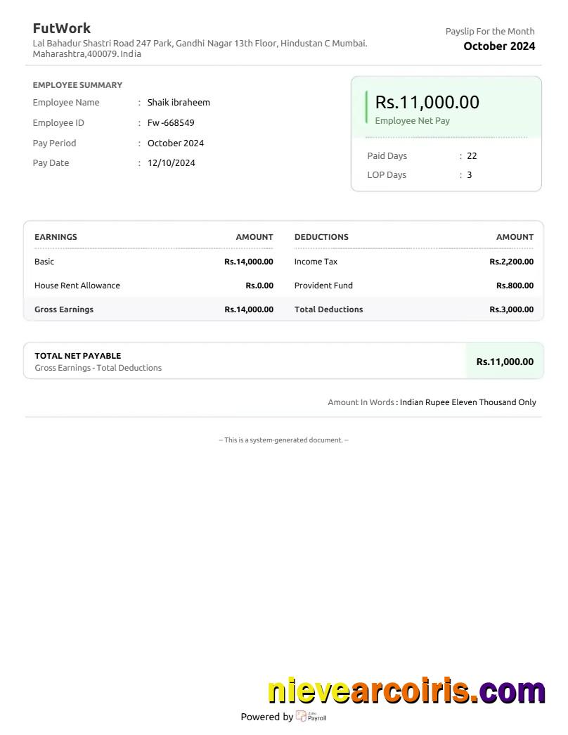 Professional India FutWork E Commerce Service Company Payslip Template In Word And PDF Formats.pdf, 1