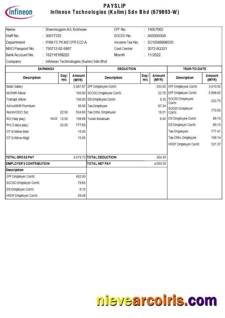 Premium Infineon Technologies Payslip Template In Word And PDF Formats.pdf, 1