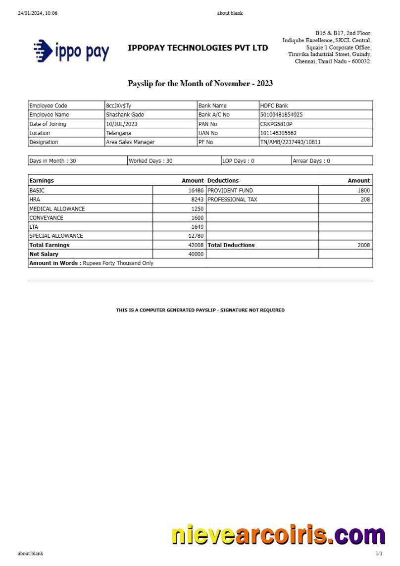 Realistic IppoPay Technologies Payslip Template In Word And PDF Formats.pdf, 1