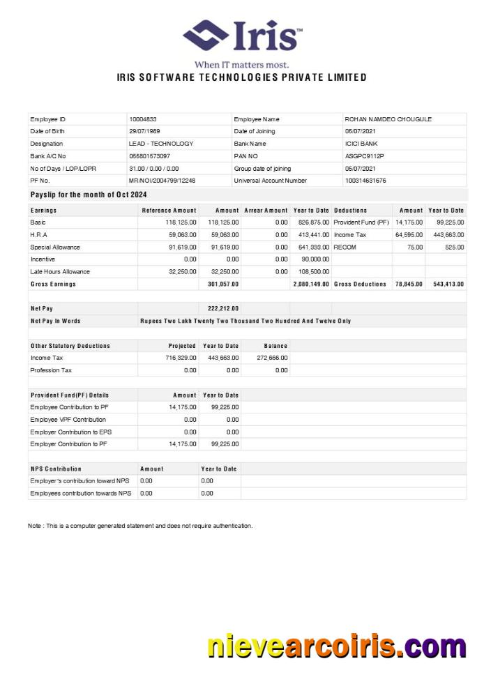 Realistic Iris Software Technologies Payslip Template In Word And PDF Formats.pdf, 1