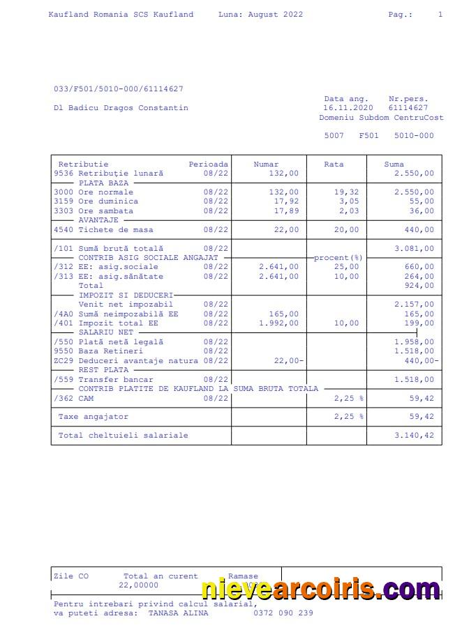 Kaufland Romania SCS Paystub Sample