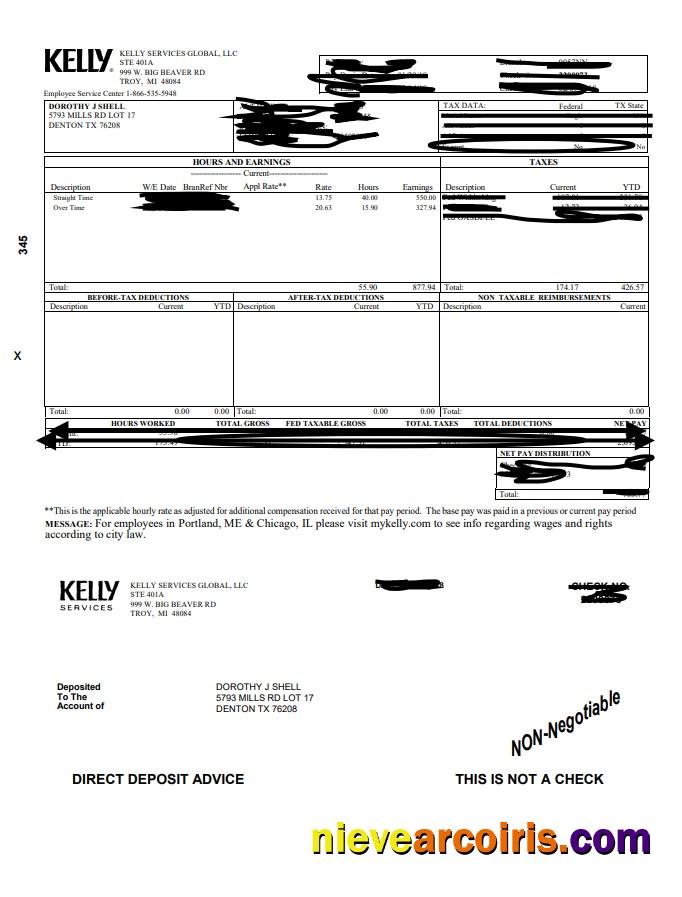 Kelly Paystub Preview