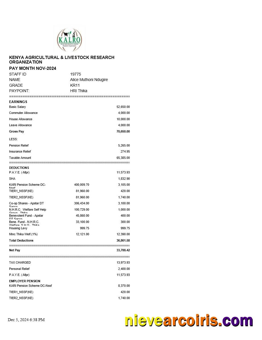 Professional Kenya Agricultural And Livestock Research Organization Payslip Template In Word And PDF Formats.pdf, 1