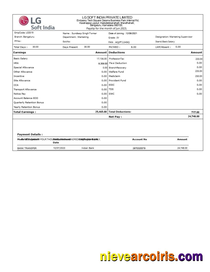 Realistic LG Soft India Payslip Template In Word And PDF Formats.pdf, 1