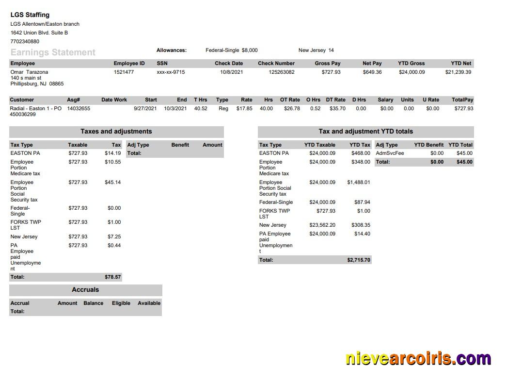 LGS Staffing Pay Stub In PDF And Word Format Sample