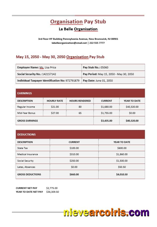 Premium La Belle Organisation Paystub Word And PDF Template