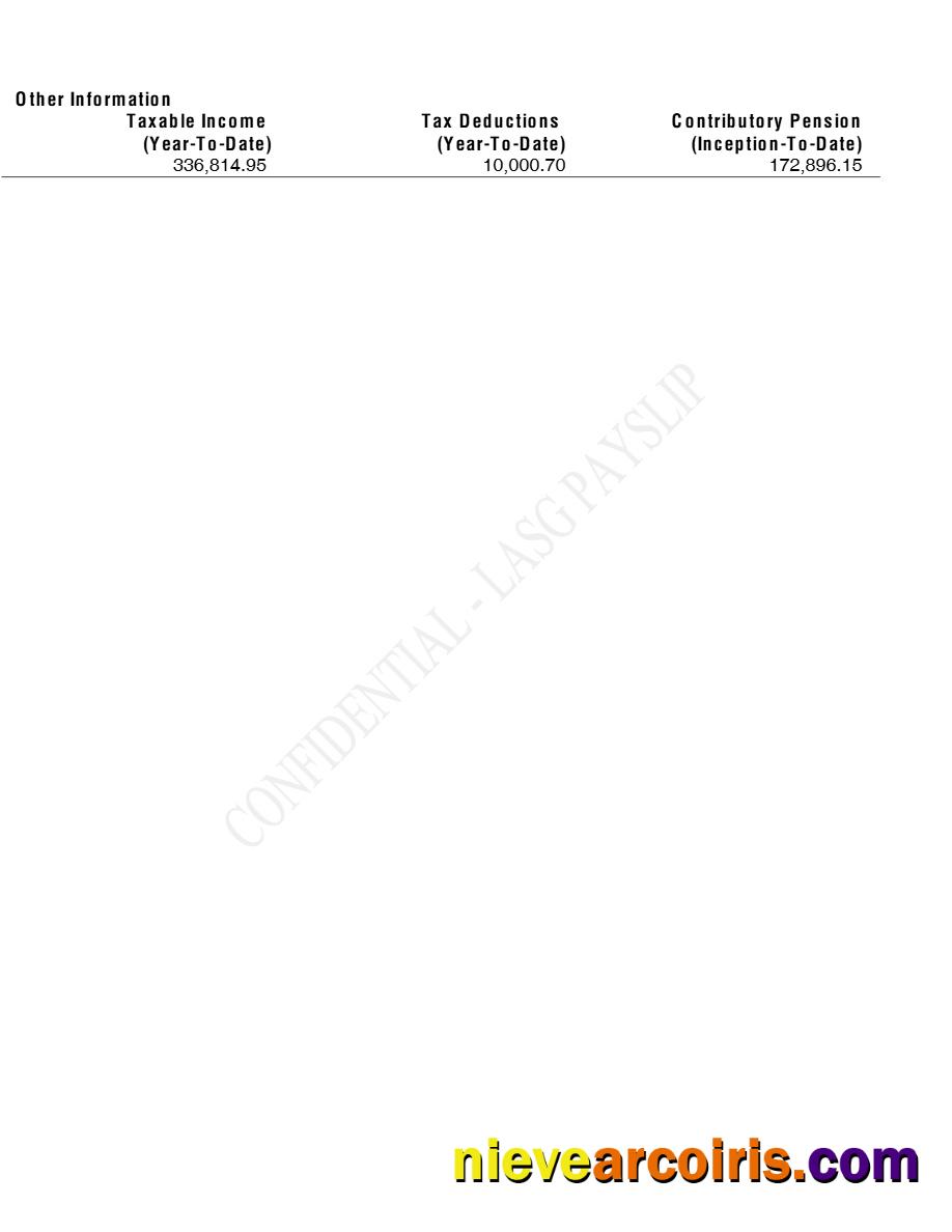 Realistic Lagos State Government Employee Payslip Template In Word And PDF Formats.pdf, 2