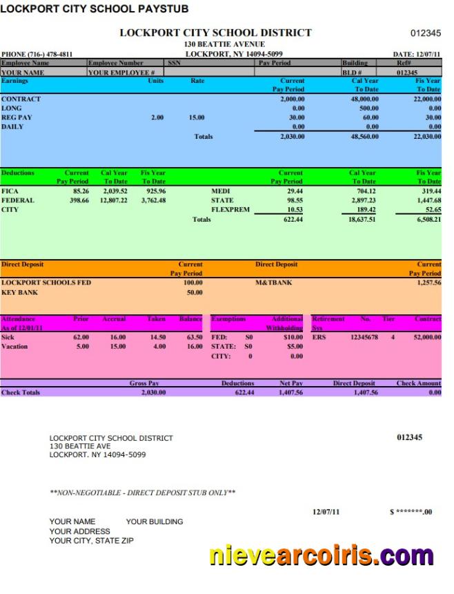 Premium Lockport City School Pay Stub Word And PDF Template