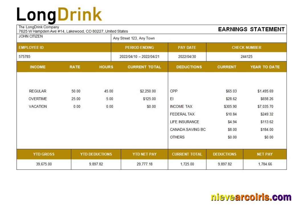 Professional LongDrink Company Payroll Template In Word And PDF Formats