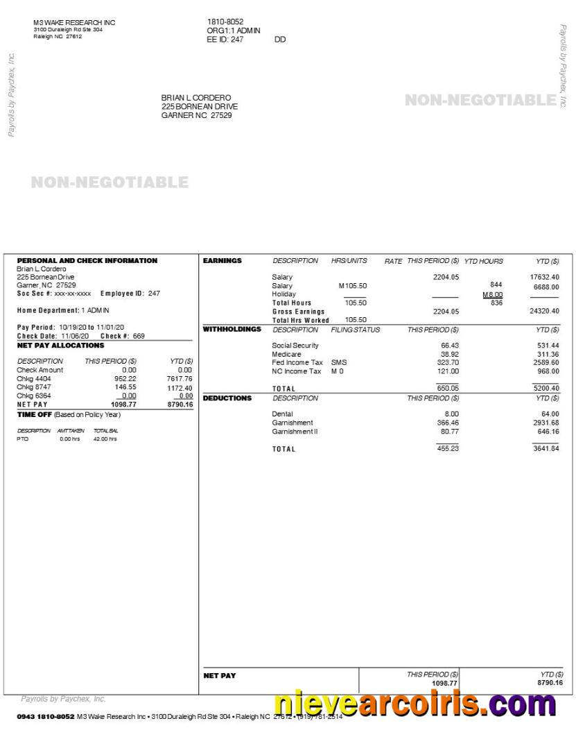 Premium M3 WAKE RESEARCH INC Earnings Statement Template In Word And PDF Formats.pdf, 1