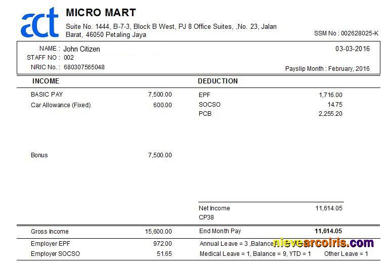 Realistic MALAYSIA MICRO MART Payslip Template In Word And PDF Formats