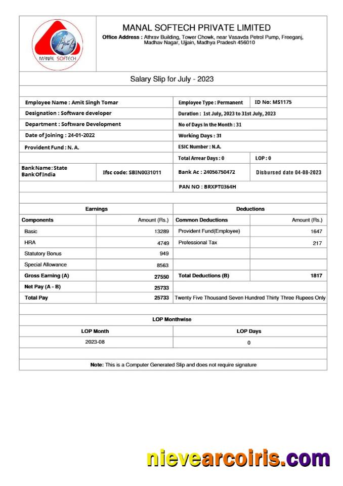 Professional Manal Softech Salary Slip Template In Word And PDF Formats.pdf, 1