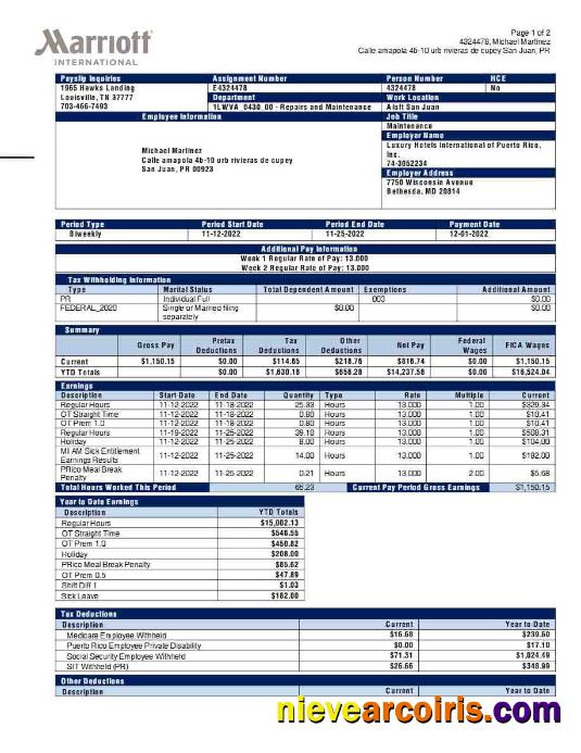 Professional Marriott International Payslip Template In Word And PDF Formats.pdf, 1