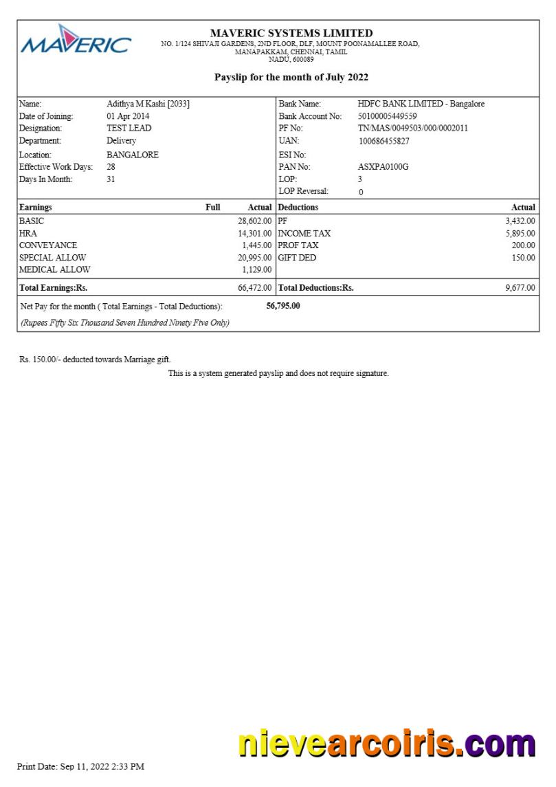 Editable Maveric Systems Engineering Company Payslip Template In Word And PDF Formats.pdf, 1