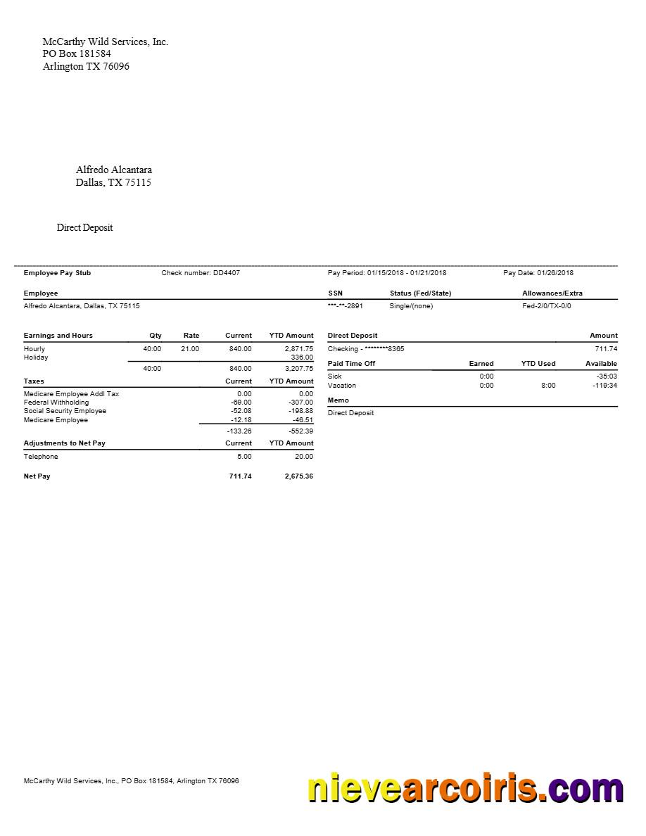 Realistic McCarthy Wild Services, Inc․ Pay Stubs Template In Word And PDF Formats.pdf, 1