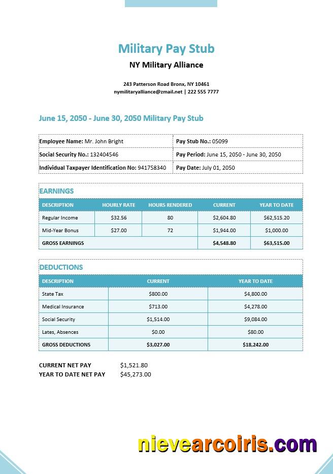Editable Military Pay Stub Template