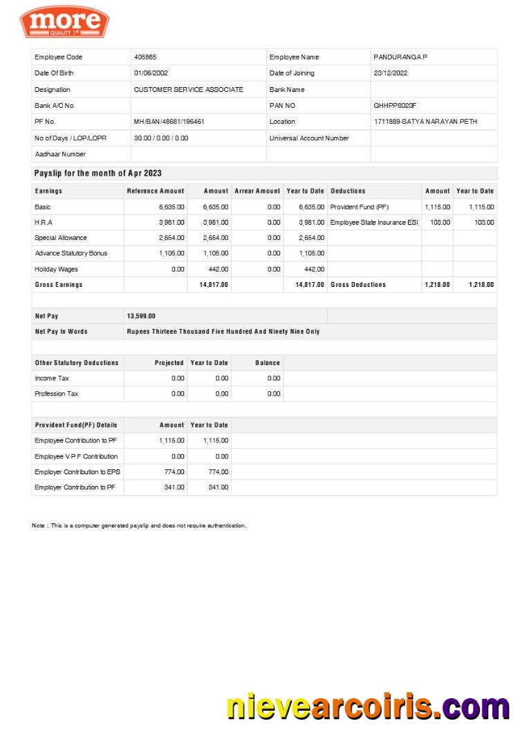 Premium More Quality 1st Grocery Shop Payslip Template In Word And PDF Formats.pdf, 1