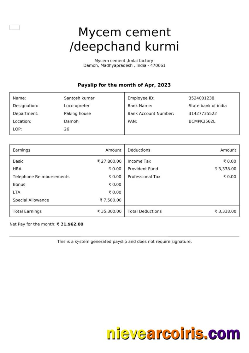 Professional Mycem Cement Payslip Template In Word And PDF Formats.pdf, 1