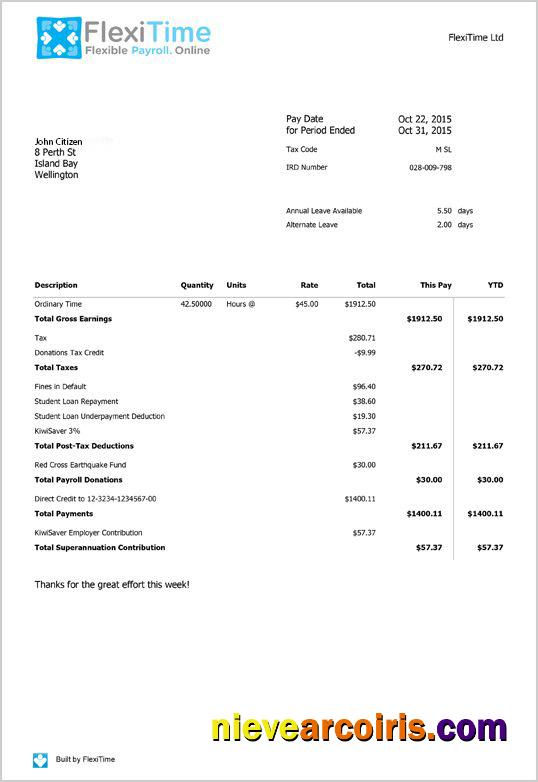 Realistic NEW ZEALAND FLEXITIME Payroll Template In Word And PDF