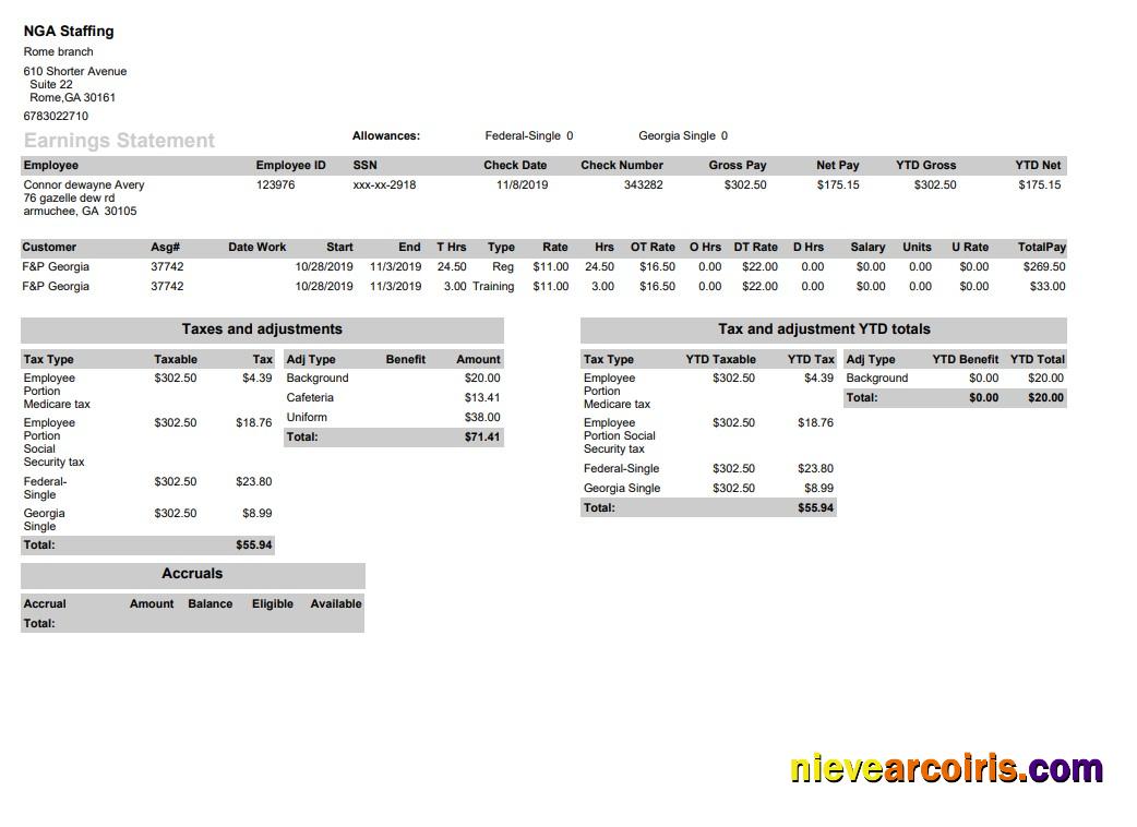NGA Staffing Pay Stub In PDF And Word Format Preview